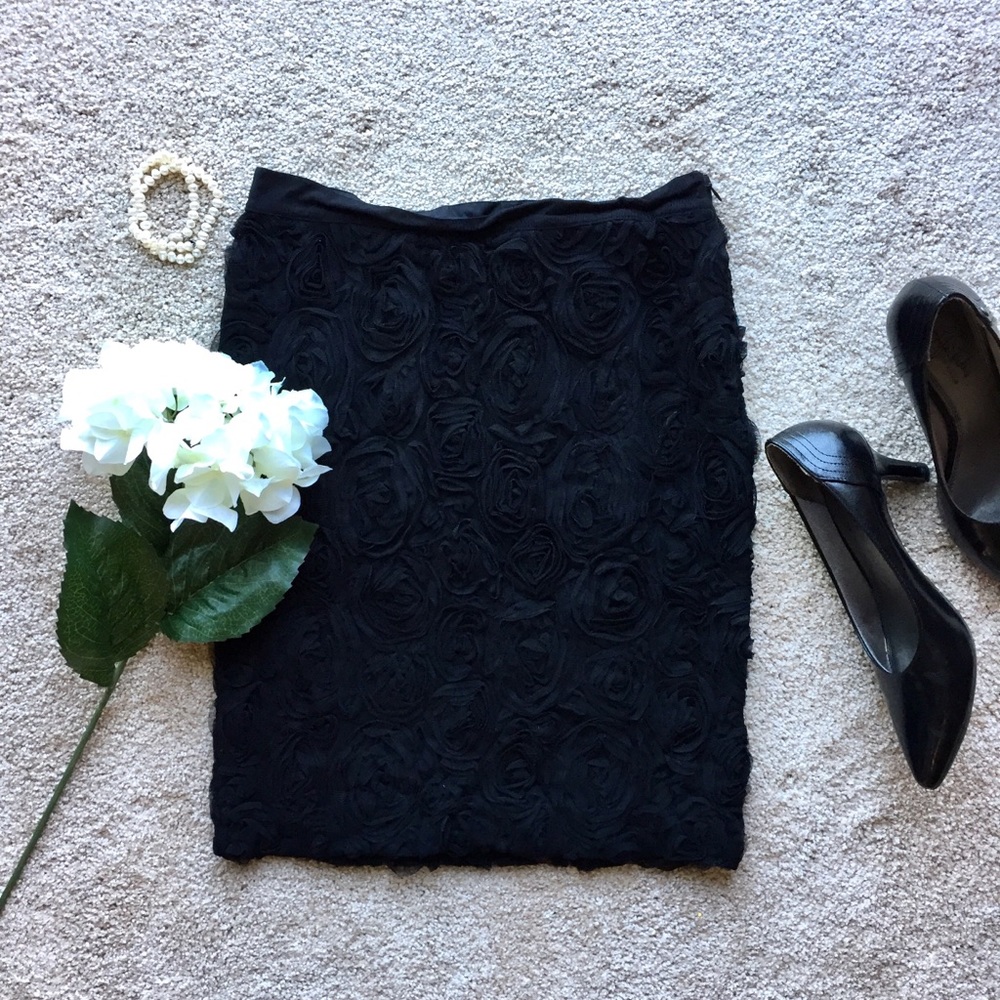 NWT Banana Republic Skirt